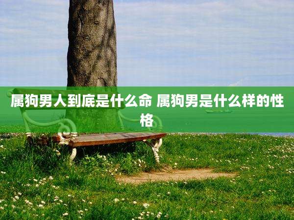 属狗男人到底是什么命 属狗男是什么样的性格