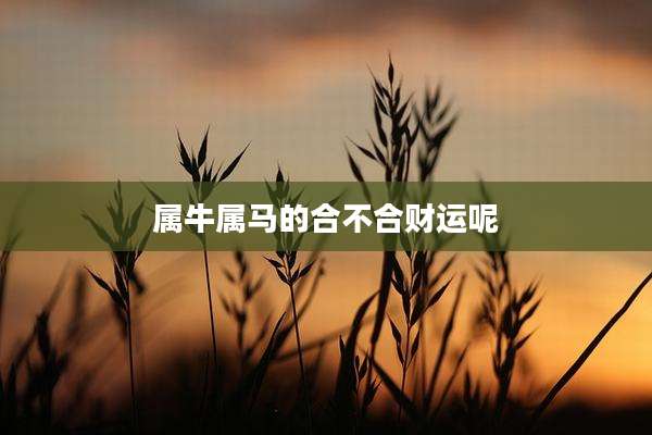 属牛属马的合不合财运呢