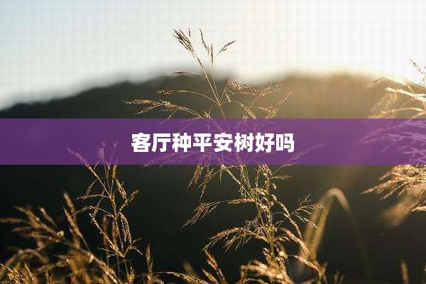 客厅种平安树好吗