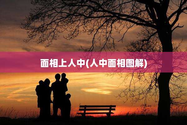 面相上人中(人中面相图解)