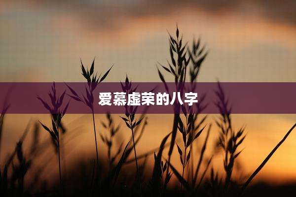 爱慕虚荣的八字