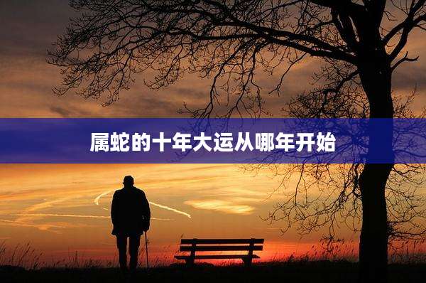 属蛇的十年大运从哪年开始