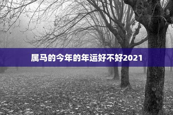 属马的今年的年运好不好2021
