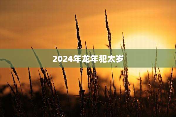 2024年龙年犯太岁