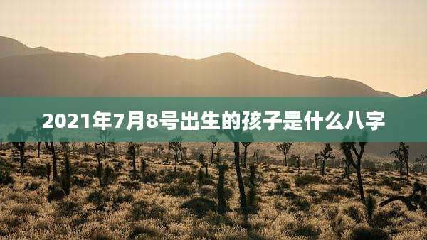 2021年7月8号出生的孩子是什么八字