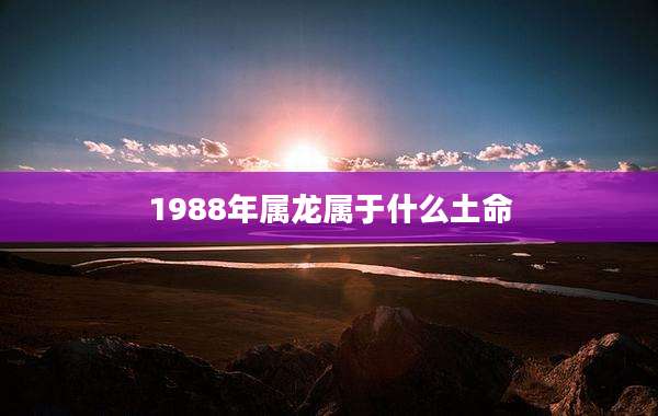 1988年属龙属于什么土命