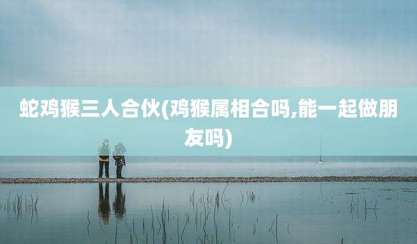 蛇鸡猴三人合伙(鸡猴属相合吗,能一起做朋友吗)