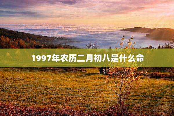 1997年农历二月初八是什么命
