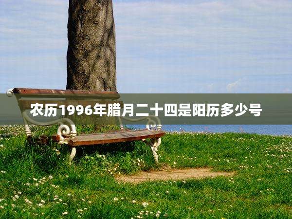 农历1996年腊月二十四是阳历多少号