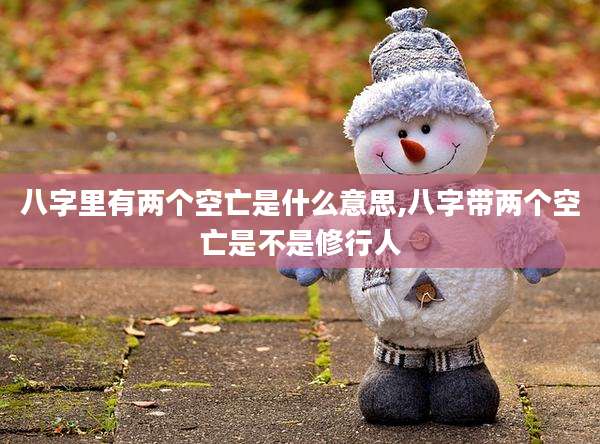 八字里有两个空亡是什么意思,八字带两个空亡是不是修行人