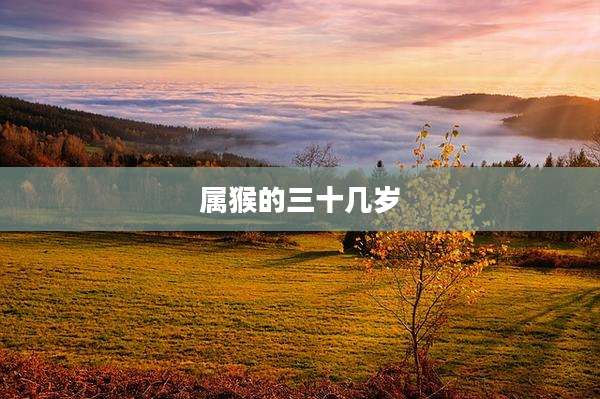 属猴的三十几岁
