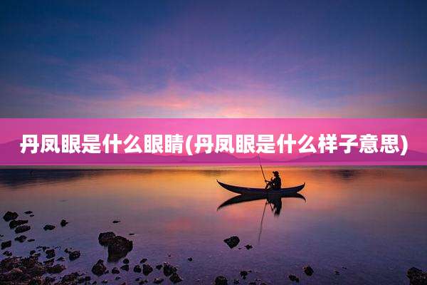 丹凤眼是什么眼睛(丹凤眼是什么样子意思)
