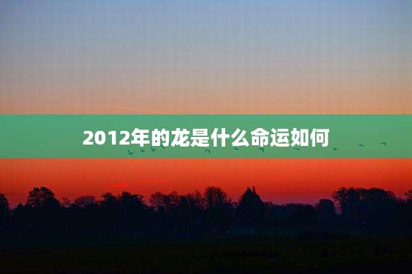 2012年的龙是什么命运如何