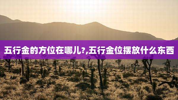 五行金的方位在哪儿?,五行金位摆放什么东西