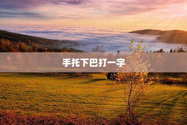 手托下巴打一字