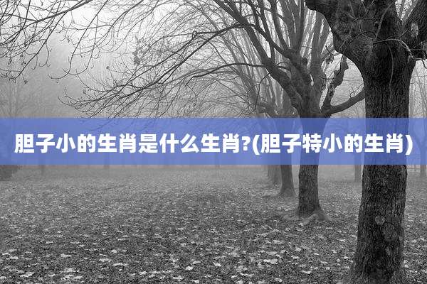 胆子小的生肖是什么生肖?(胆子特小的生肖)