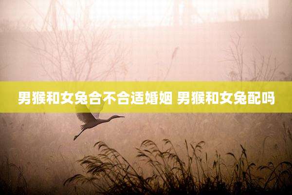 男猴和女兔合不合适婚姻 男猴和女兔配吗