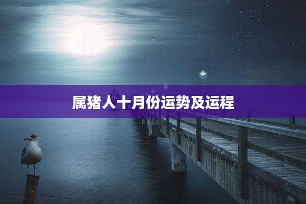 属猪人十月份运势及运程