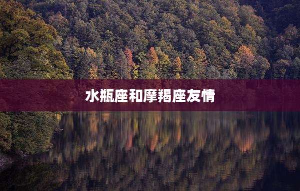 水瓶座和摩羯座友情