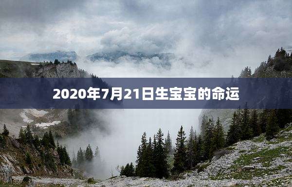 2020年7月21日生宝宝的命运