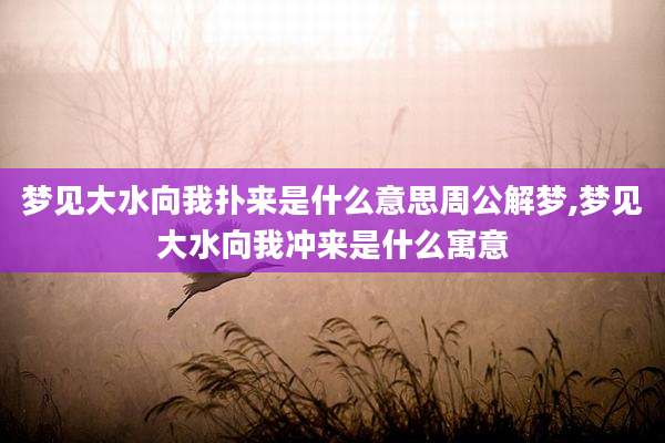 梦见大水向我扑来是什么意思周公解梦,梦见大水向我冲来是什么寓意