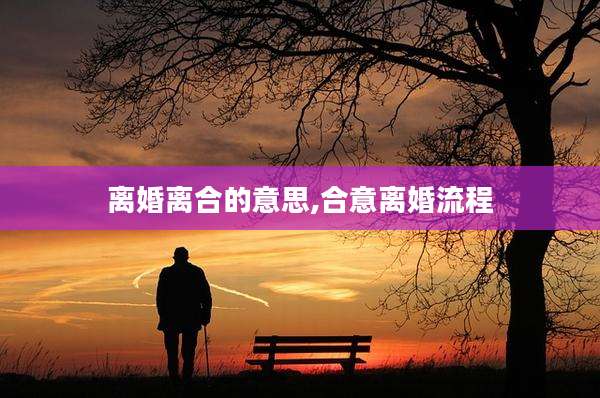 离婚离合的意思,合意离婚流程
