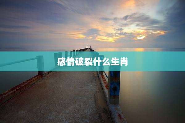 感情破裂什么生肖