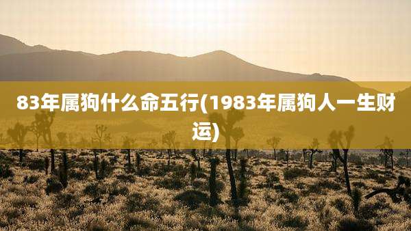 83年属狗什么命五行(1983年属狗人一生财运)