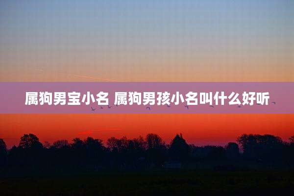 属狗男宝小名 属狗男孩小名叫什么好听
