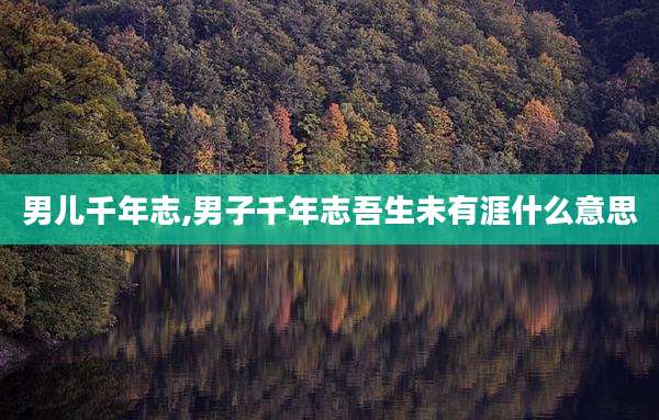 男儿千年志,男子千年志吾生未有涯什么意思