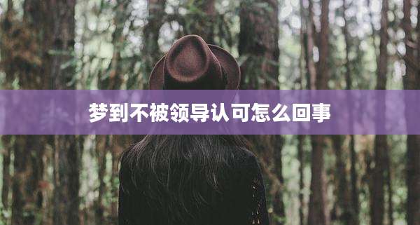 梦到不被领导认可怎么回事