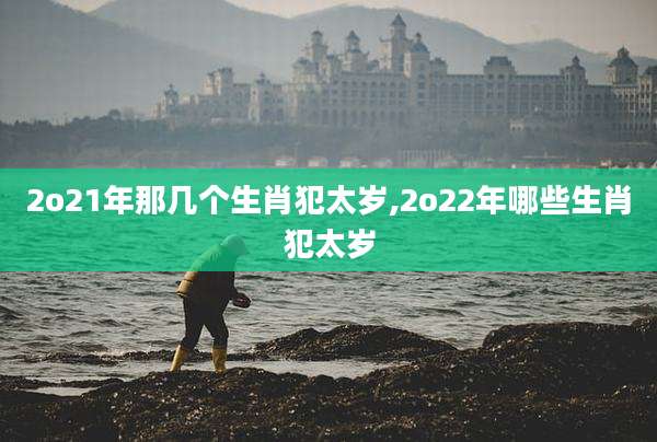 2o21年那几个生肖犯太岁,2o22年哪些生肖犯太岁