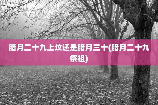 腊月二十九上坟还是腊月三十(腊月二十九祭祖)