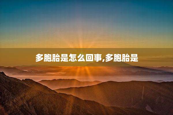 多胞胎是怎么回事,多胞胎是