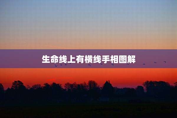 生命线上有横线手相图解