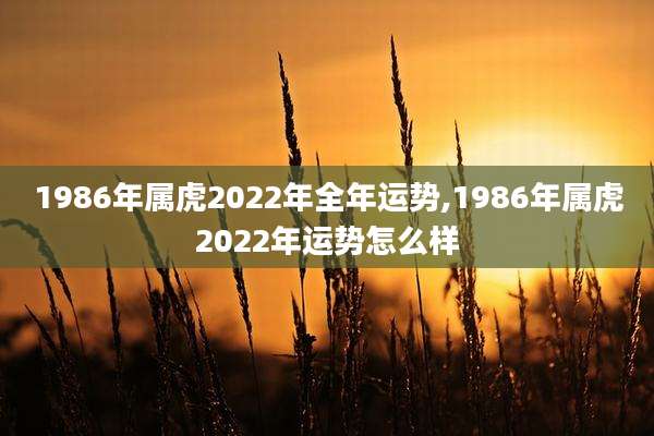 1986年属虎2022年全年运势,1986年属虎2022年运势怎么样