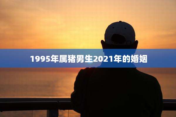 1995年属猪男生2021年的婚姻