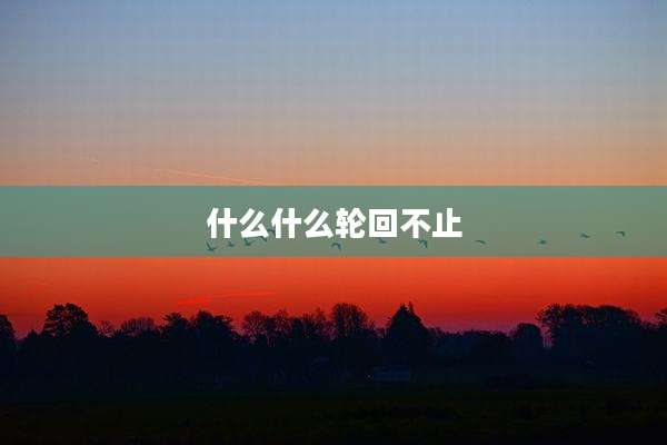 什么什么轮回不止