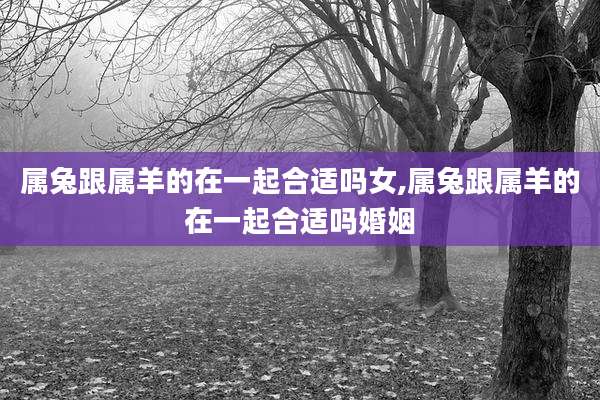 属兔跟属羊的在一起合适吗女,属兔跟属羊的在一起合适吗婚姻
