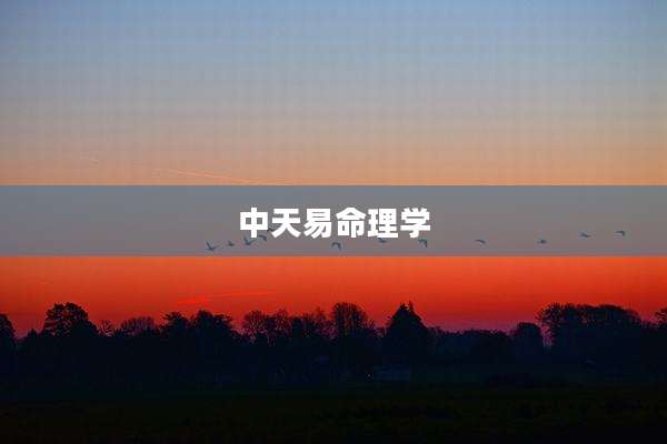 中天易命理学