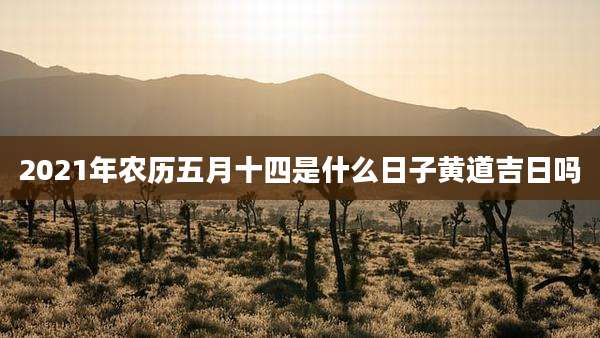 2021年农历五月十四是什么日子黄道吉日吗