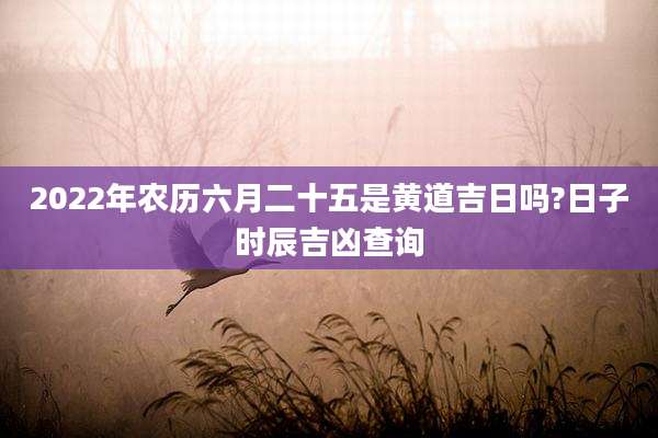 2022年农历六月二十五是黄道吉日吗?日子时辰吉凶查询