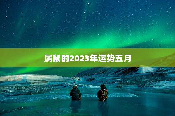 属鼠的2023年运势五月