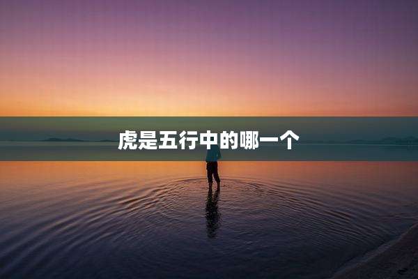 虎是五行中的哪一个