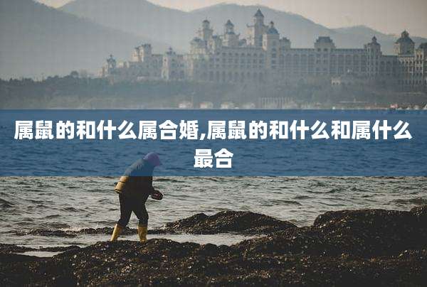 属鼠的和什么属合婚,属鼠的和什么和属什么最合