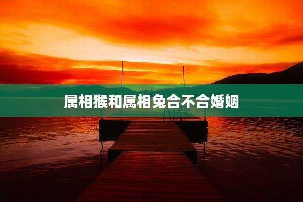 属相猴和属相兔合不合婚姻