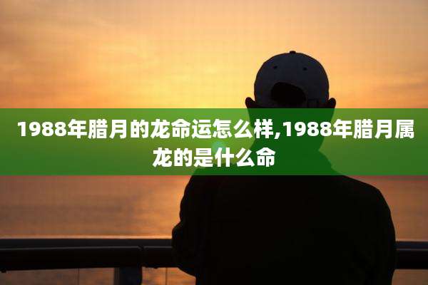 1988年腊月的龙命运怎么样,1988年腊月属龙的是什么命
