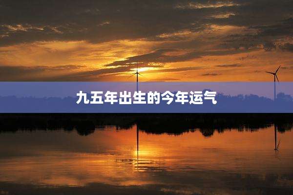 九五年出生的今年运气