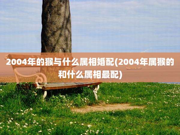 2004年的猴与什么属相婚配(2004年属猴的和什么属相最配)