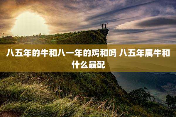 八五年的牛和八一年的鸡和吗 八五年属牛和什么最配